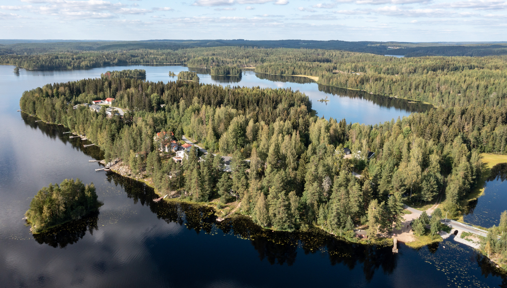 Ilmakuva metsäisestä saaresta.